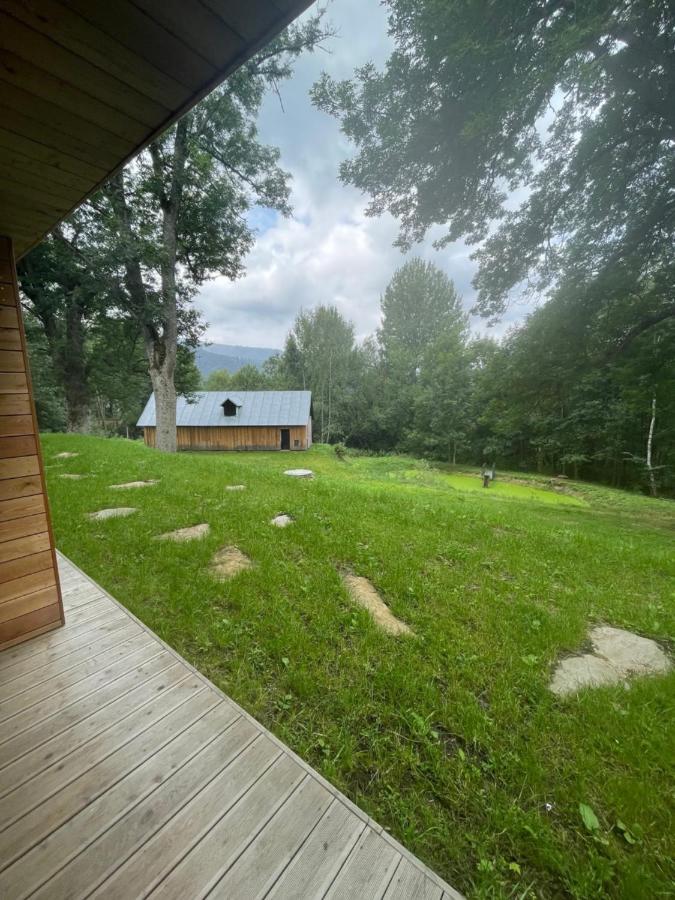 Apartman Pod Jasanem Hojsova Straz Brcalnik Apartment Zelezna Ruda Luaran gambar