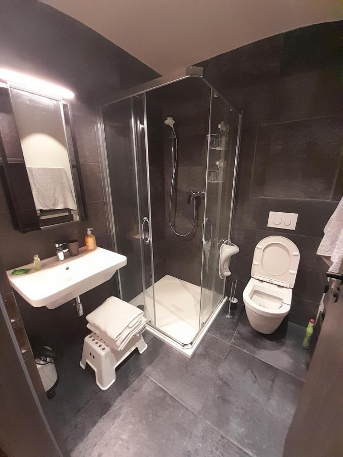 Apartman Pod Jasanem Hojsova Straz Brcalnik Apartment Zelezna Ruda Luaran gambar
