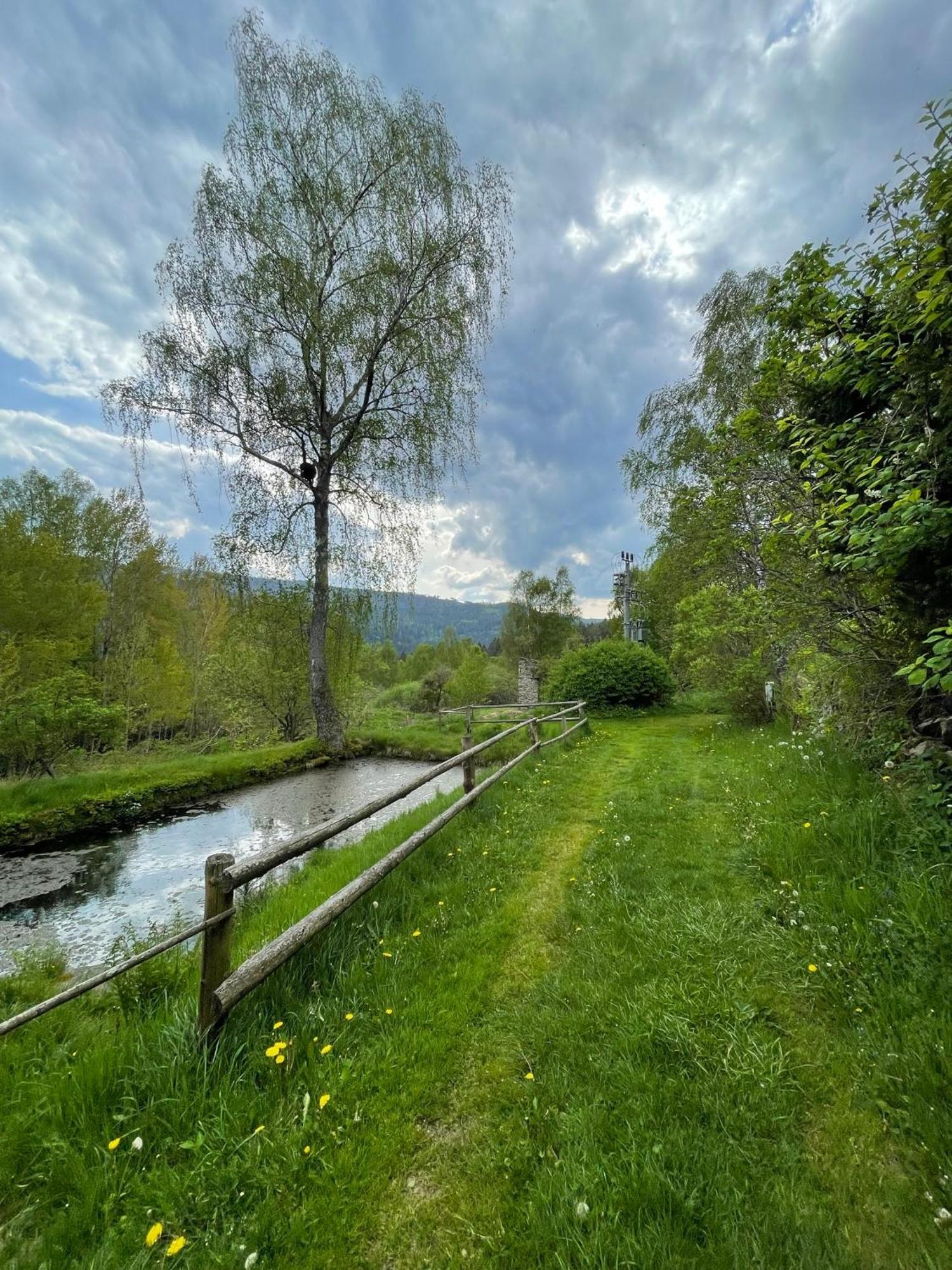 Apartman Pod Jasanem Hojsova Straz Brcalnik Apartment Zelezna Ruda Luaran gambar